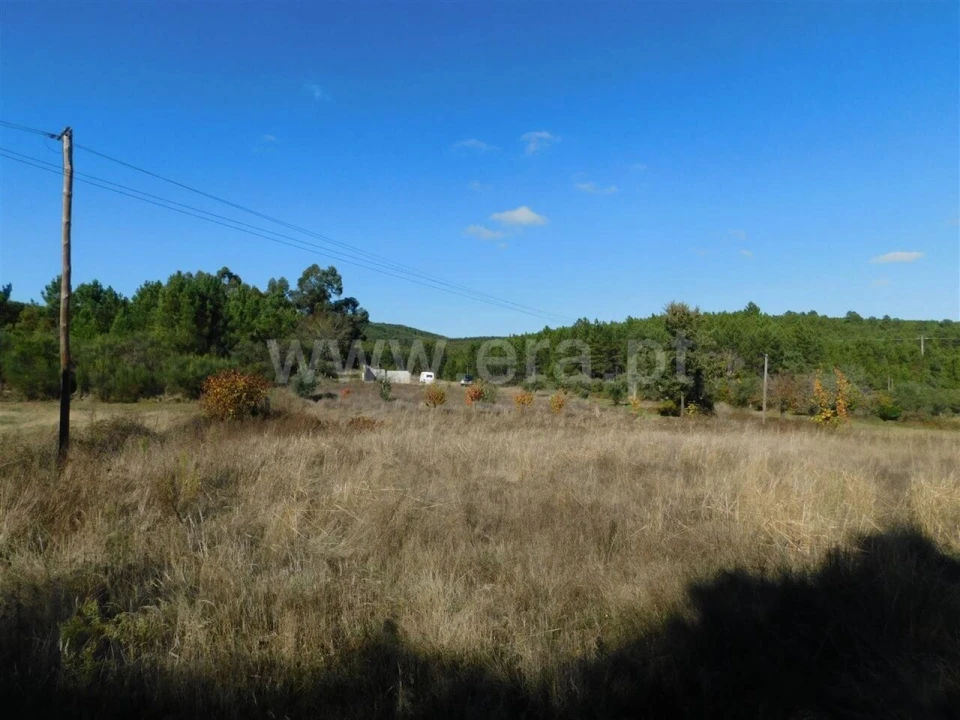 Terreno para Venda em Vale de Prazeres e Mata da Rainha Foto 6