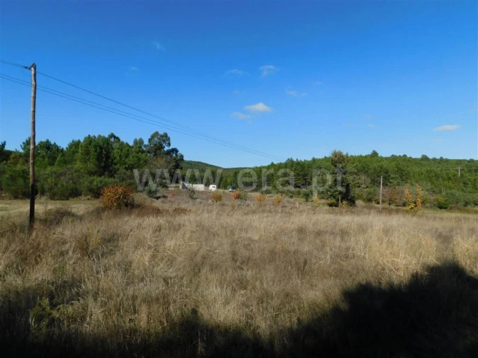 Terreno para Venda em Vale de Prazeres e Mata da Rainha Foto 6