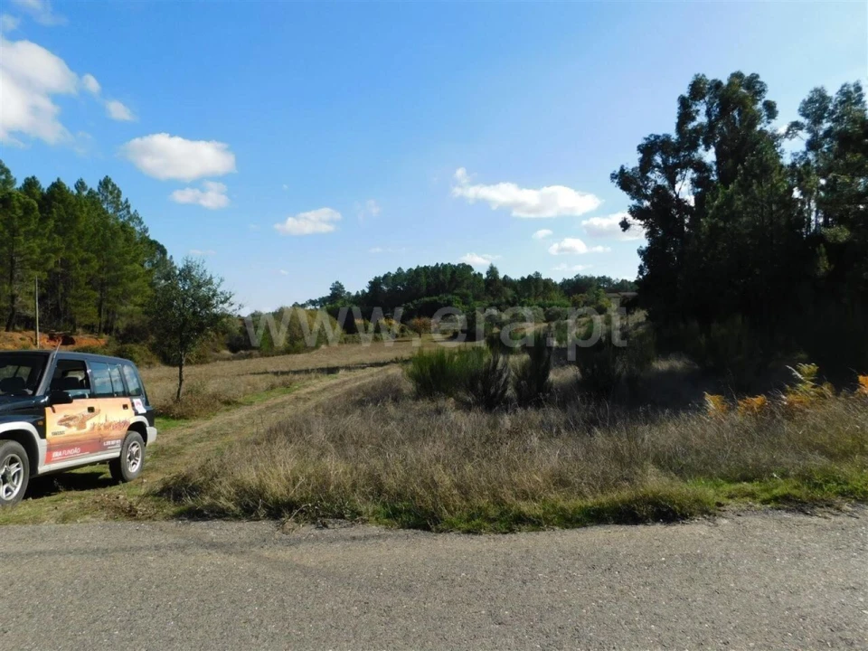 Terreno para Venda em Vale de Prazeres e Mata da Rainha Foto 3