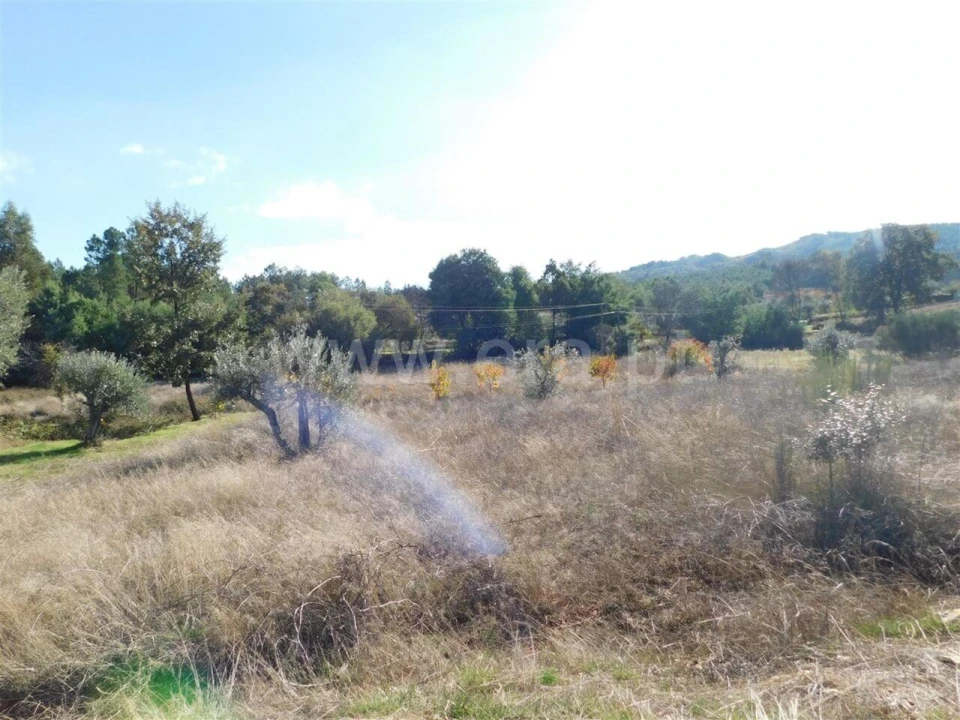 Terreno para Venda em Vale de Prazeres e Mata da Rainha Foto 7