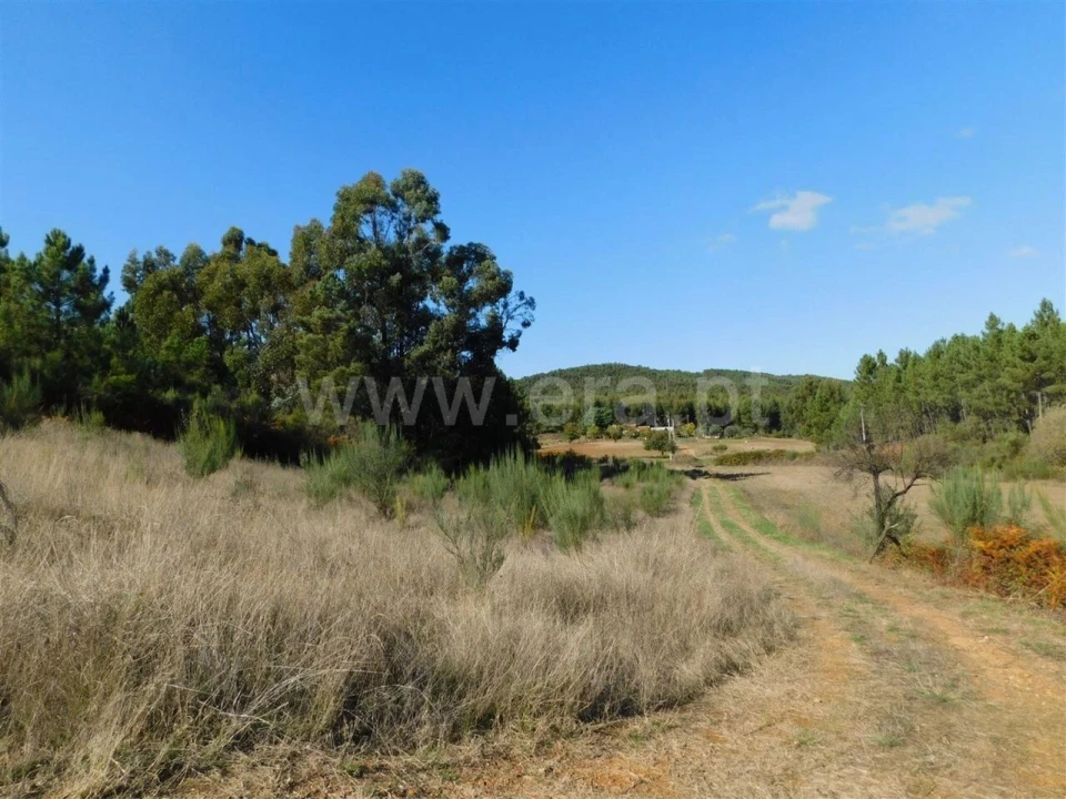 Terreno para Venda em Vale de Prazeres e Mata da Rainha Foto 2