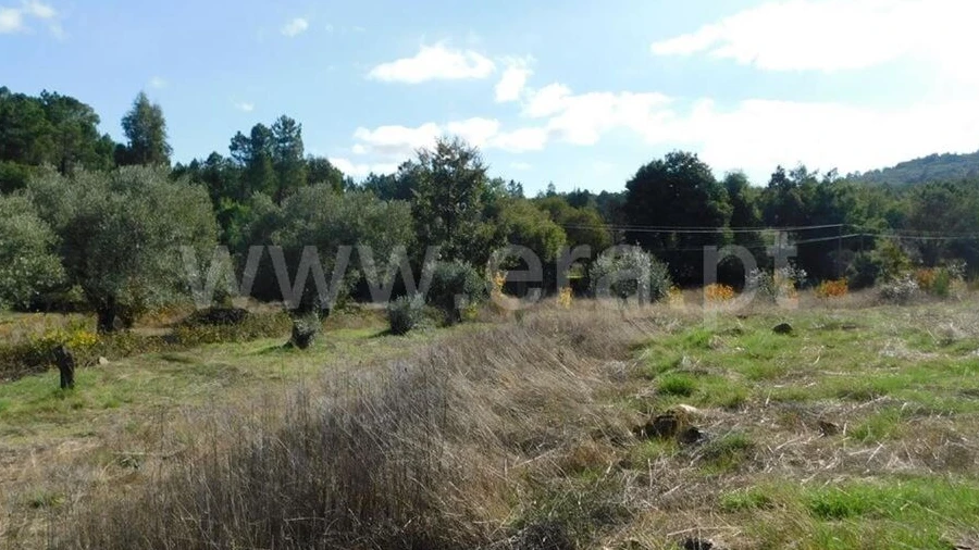 Terreno para Venda em Vale de Prazeres e Mata da Rainha