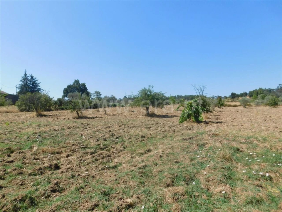 Quinta T0 para Venda em Vale de Prazeres e Mata da Rainha Foto 7
