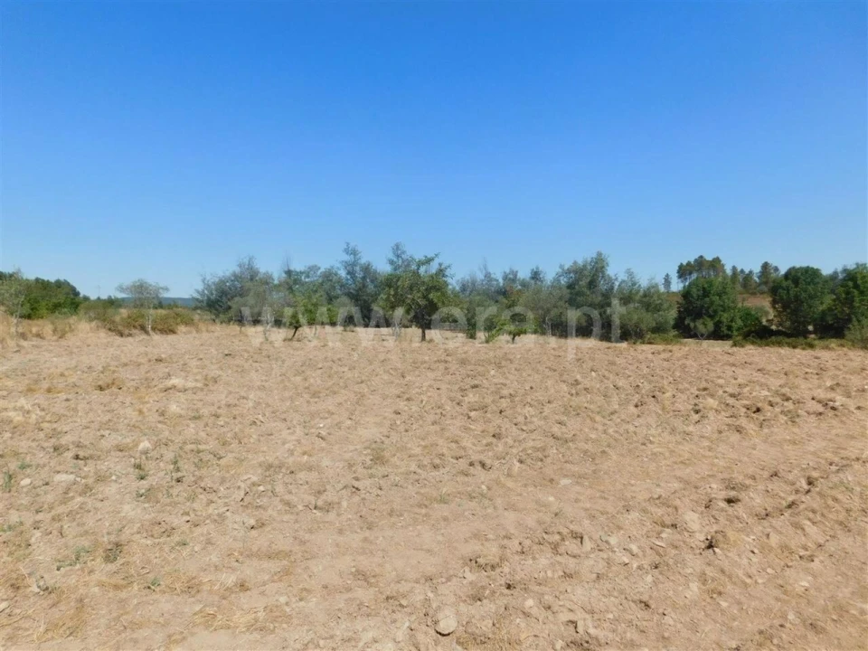 Quinta T0 para Venda em Vale de Prazeres e Mata da Rainha Foto 3