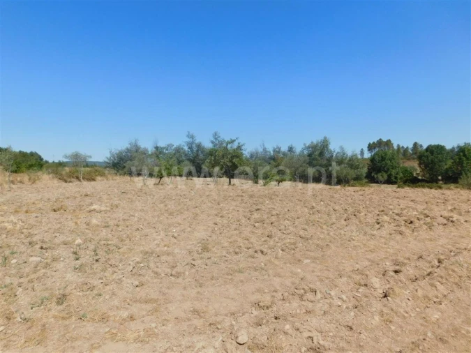 Quinta T0 para Venda em Vale de Prazeres e Mata da Rainha Foto 3