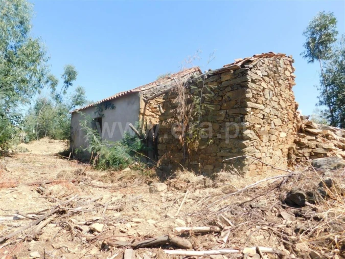 Quinta T0 para Venda em Vale de Prazeres e Mata da Rainha Foto 2
