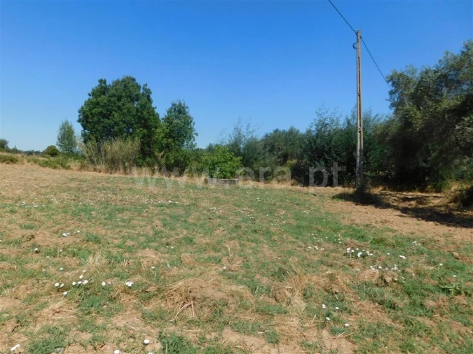 Quinta T0 para Venda em Vale de Prazeres e Mata da Rainha Foto 6