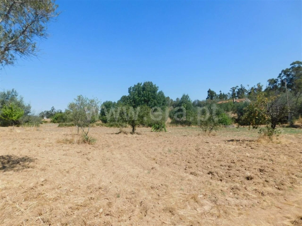 Quinta T0 para Venda em Vale de Prazeres e Mata da Rainha Foto 5
