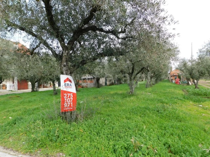 Terreno para Venda em Fundão, Valverde, Donas, A. Joanes, A. Nova Cabo Foto 2