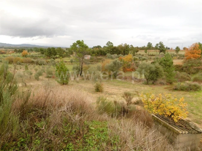 Quinta T0 para Venda em Póvoa de Atalaia e Atalaia do Campo Foto 14