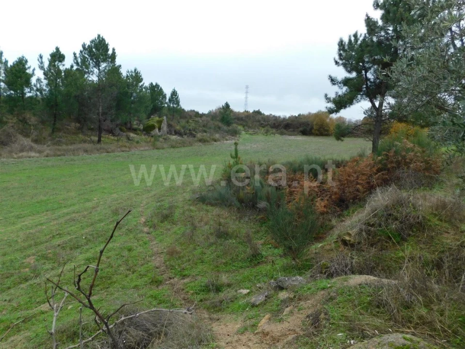 Quinta T0 para Venda em Póvoa de Atalaia e Atalaia do Campo Foto 19