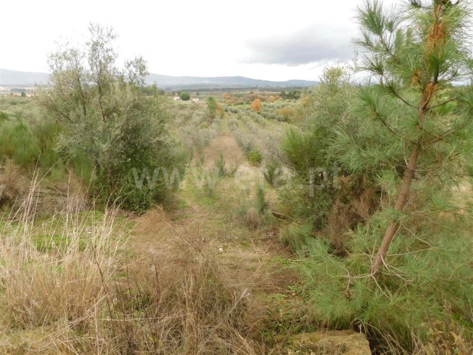 Quinta T0 para Venda em Póvoa de Atalaia e Atalaia do Campo Foto 11