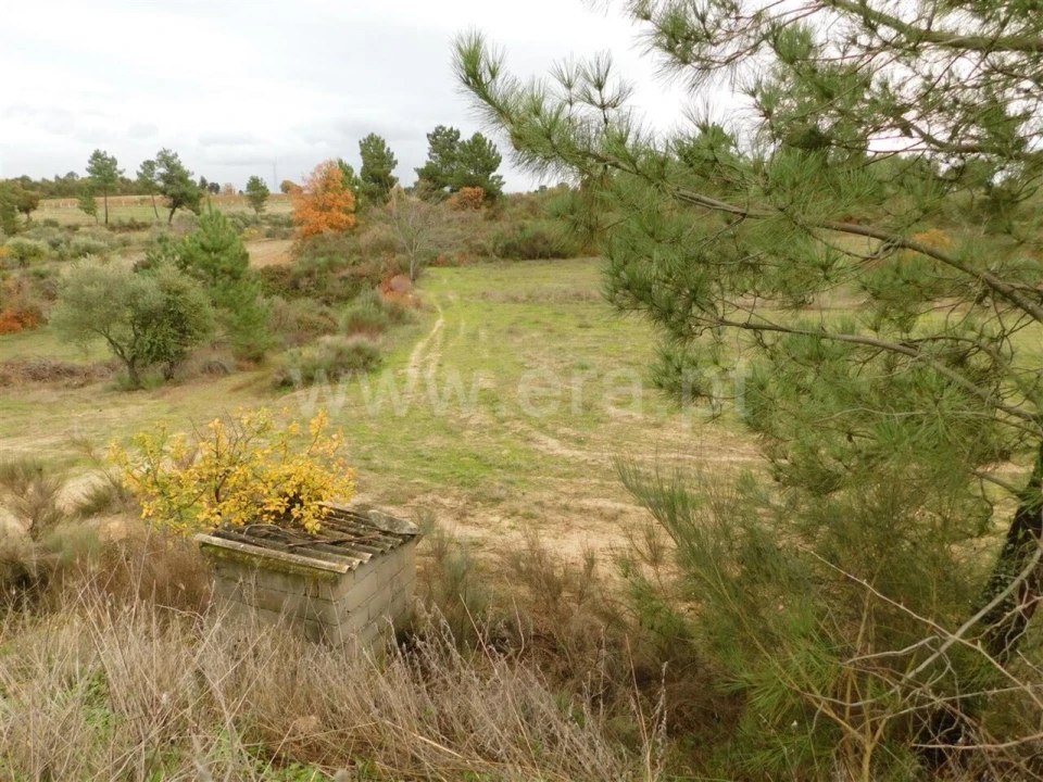 Quinta T0 para Venda em Póvoa de Atalaia e Atalaia do Campo Foto 15