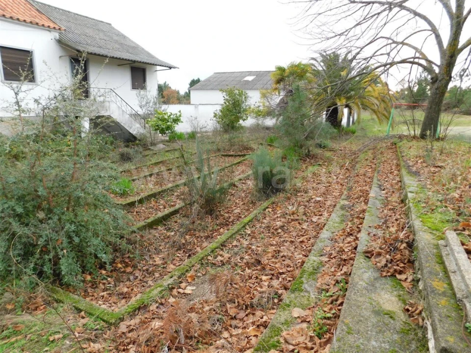 Quinta T0 para Venda em Póvoa de Atalaia e Atalaia do Campo Foto 5