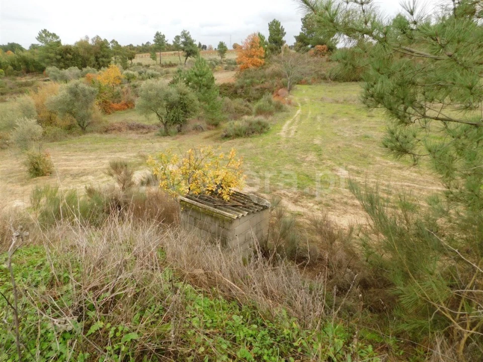 Quinta T0 para Venda em Póvoa de Atalaia e Atalaia do Campo Foto 13
