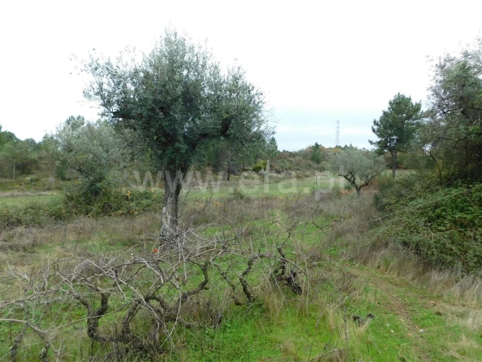 Quinta T0 para Venda em Póvoa de Atalaia e Atalaia do Campo Foto 17
