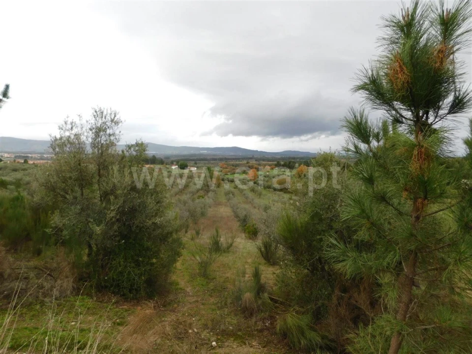 Quinta T0 para Venda em Póvoa de Atalaia e Atalaia do Campo Foto 12