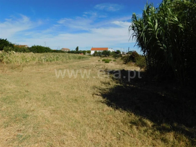 Quinta T0 para Venda em Vale de Prazeres e Mata da Rainha Foto 3