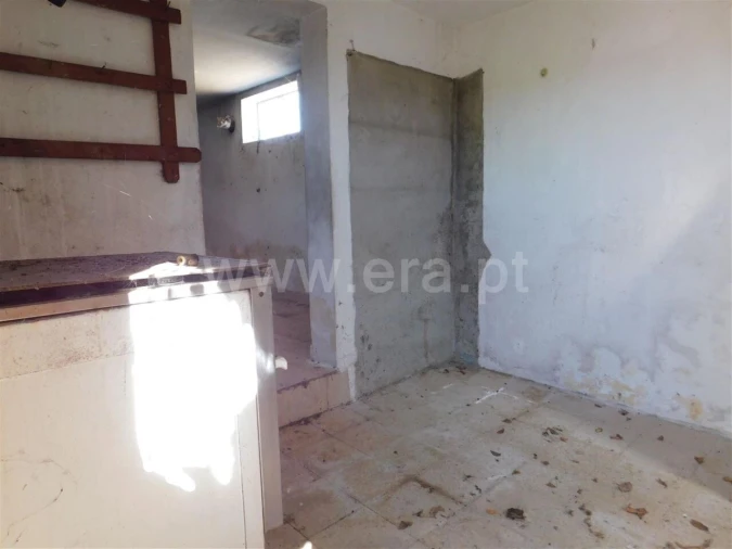 Quinta T0 para Venda em Vale de Prazeres e Mata da Rainha Foto 12