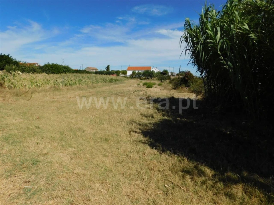 Quinta T0 para Venda em Vale de Prazeres e Mata da Rainha Foto 3
