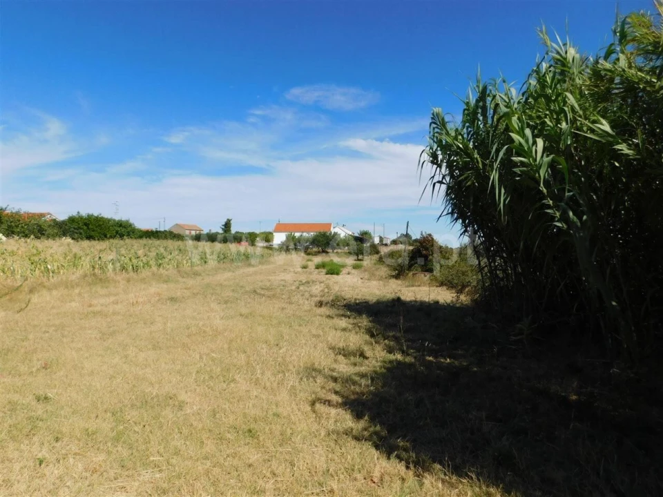 Quinta T0 para Venda em Vale de Prazeres e Mata da Rainha Foto 4