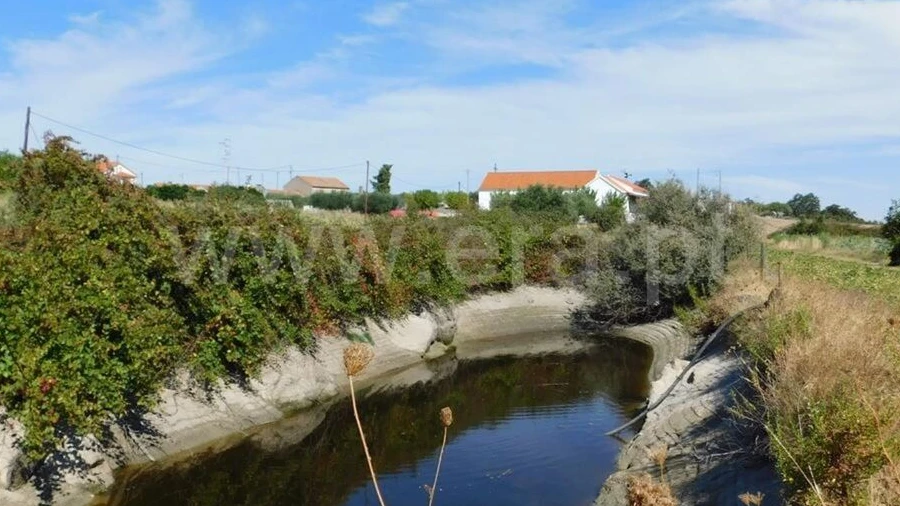 Quinta T0 para Venda em Vale de Prazeres e Mata da Rainha