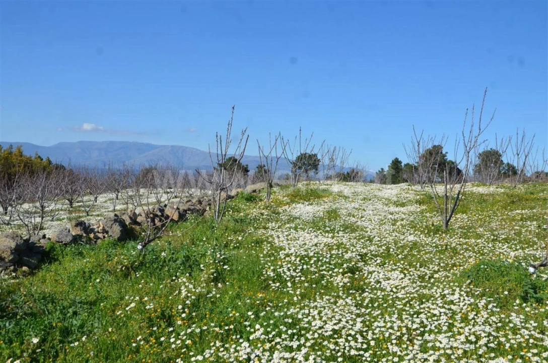 Quinta T0 para Venda em Fundão, Valverde, Donas, A. Joanes, A. Nova Cabo Foto 20