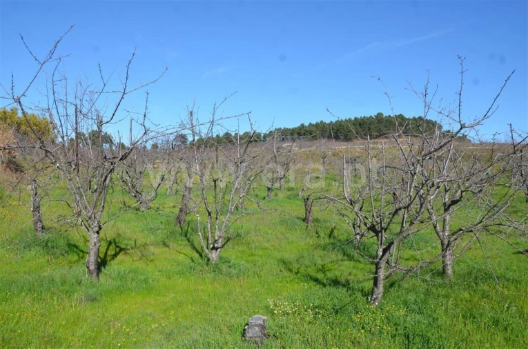 Quinta T0 para Venda em Fundão, Valverde, Donas, A. Joanes, A. Nova Cabo Foto 7