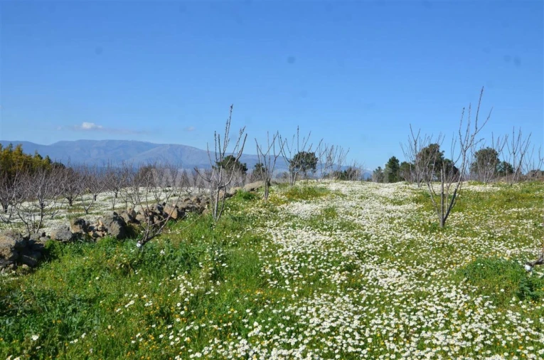 Quinta T0 para Venda em Fundão, Valverde, Donas, A. Joanes, A. Nova Cabo Foto 20