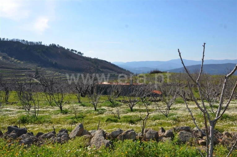 Quinta T0 para Venda em Fundão, Valverde, Donas, A. Joanes, A. Nova Cabo Foto 2