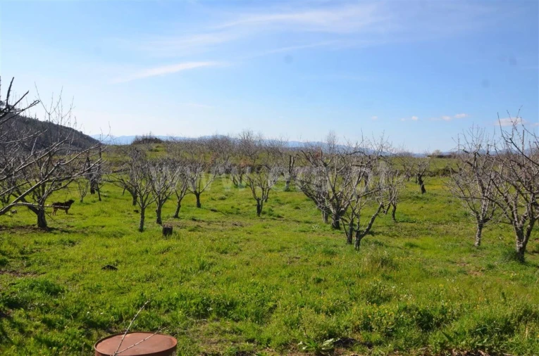 Quinta T0 para Venda em Fundão, Valverde, Donas, A. Joanes, A. Nova Cabo Foto 11