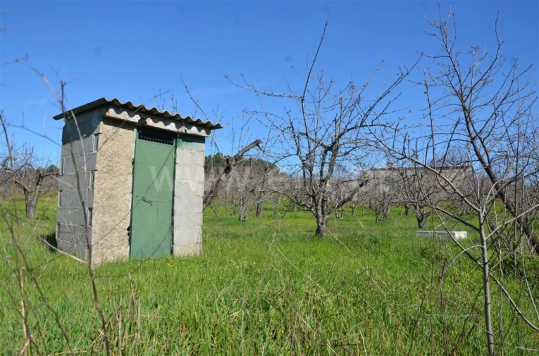 Quinta T0 para Venda em Fundão, Valverde, Donas, A. Joanes, A. Nova Cabo Foto 5