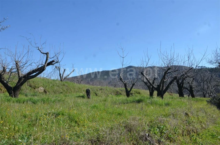 Quinta T0 para Venda em Fundão, Valverde, Donas, A. Joanes, A. Nova Cabo Foto 12