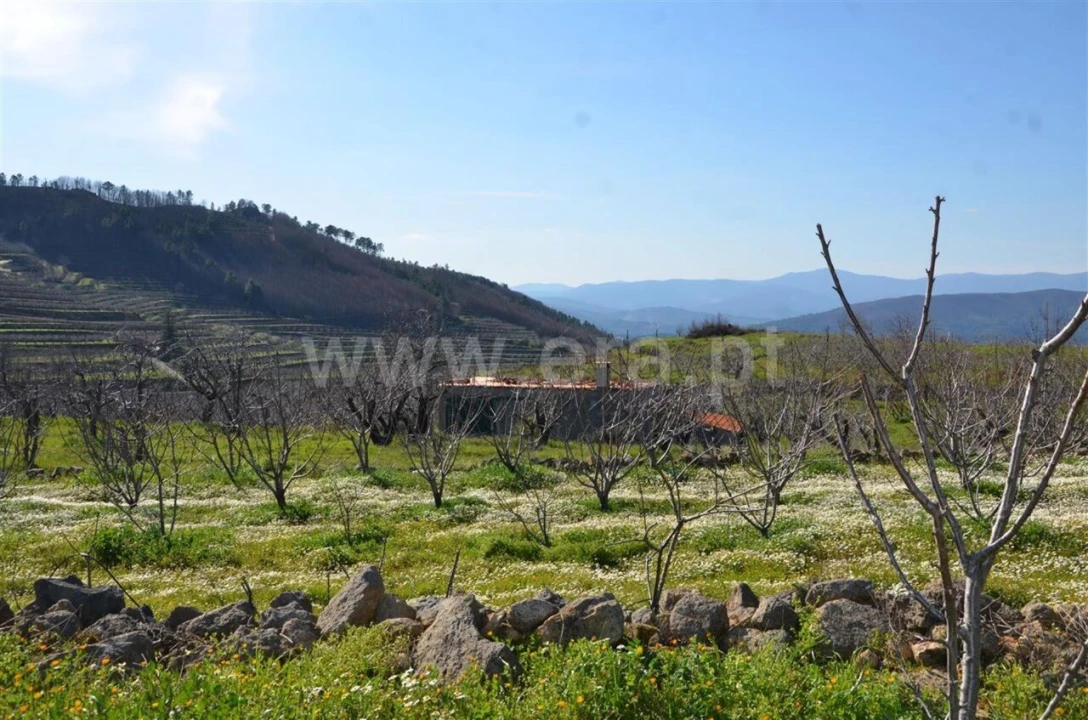 Quinta T0 para Venda em Fundão, Valverde, Donas, A. Joanes, A. Nova Cabo Foto 2