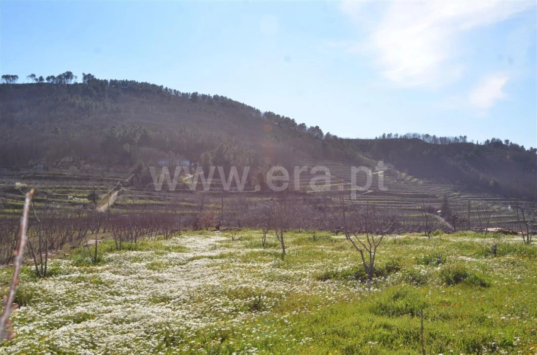 Quinta T0 para Venda em Fundão, Valverde, Donas, A. Joanes, A. Nova Cabo Foto 19