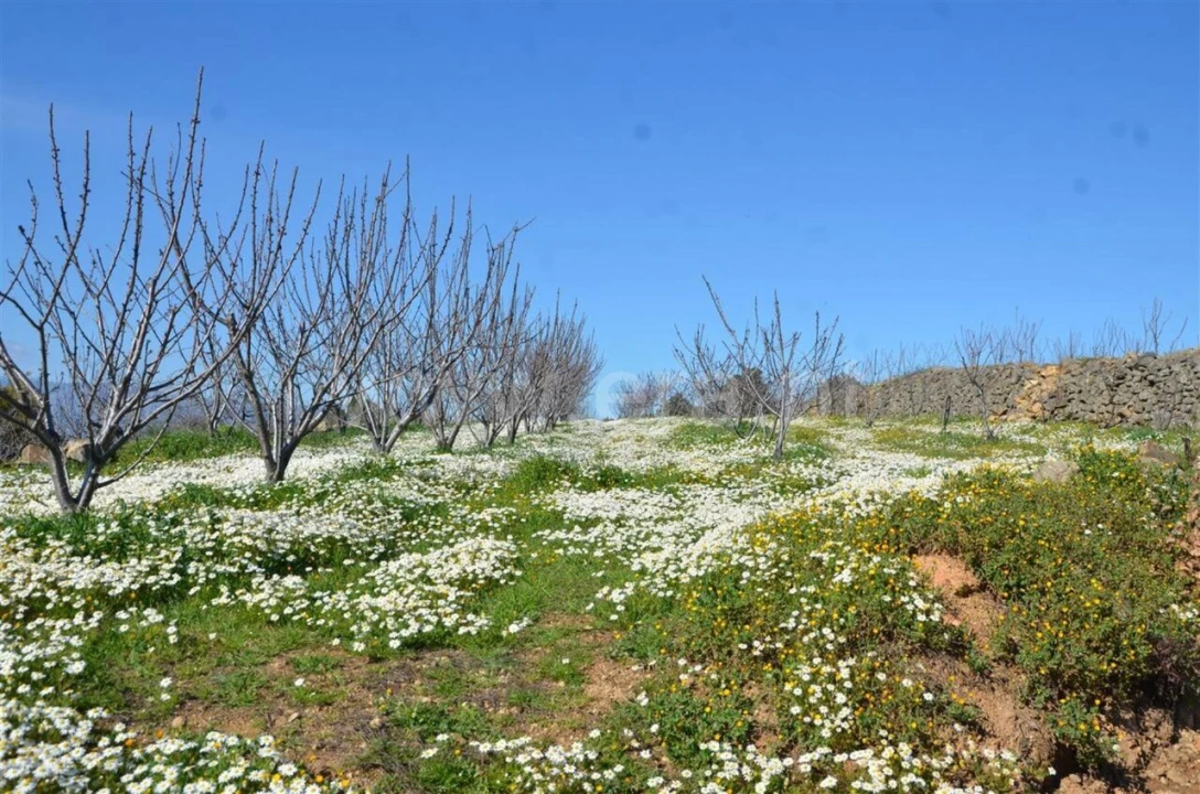 Quinta T0 para Venda em Fundão, Valverde, Donas, A. Joanes, A. Nova Cabo Foto 14