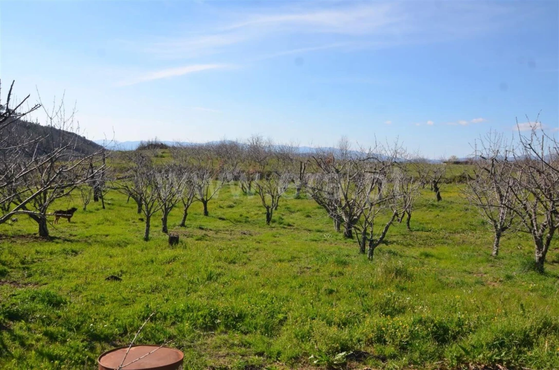 Quinta T0 para Venda em Fundão, Valverde, Donas, A. Joanes, A. Nova Cabo Foto 11