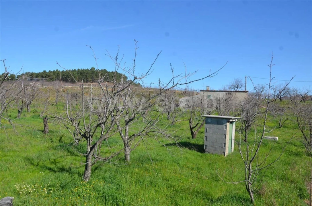 Quinta T0 para Venda em Fundão, Valverde, Donas, A. Joanes, A. Nova Cabo Foto 6