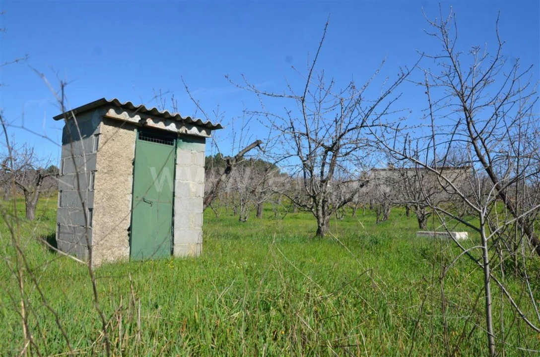 Quinta T0 para Venda em Fundão, Valverde, Donas, A. Joanes, A. Nova Cabo Foto 5