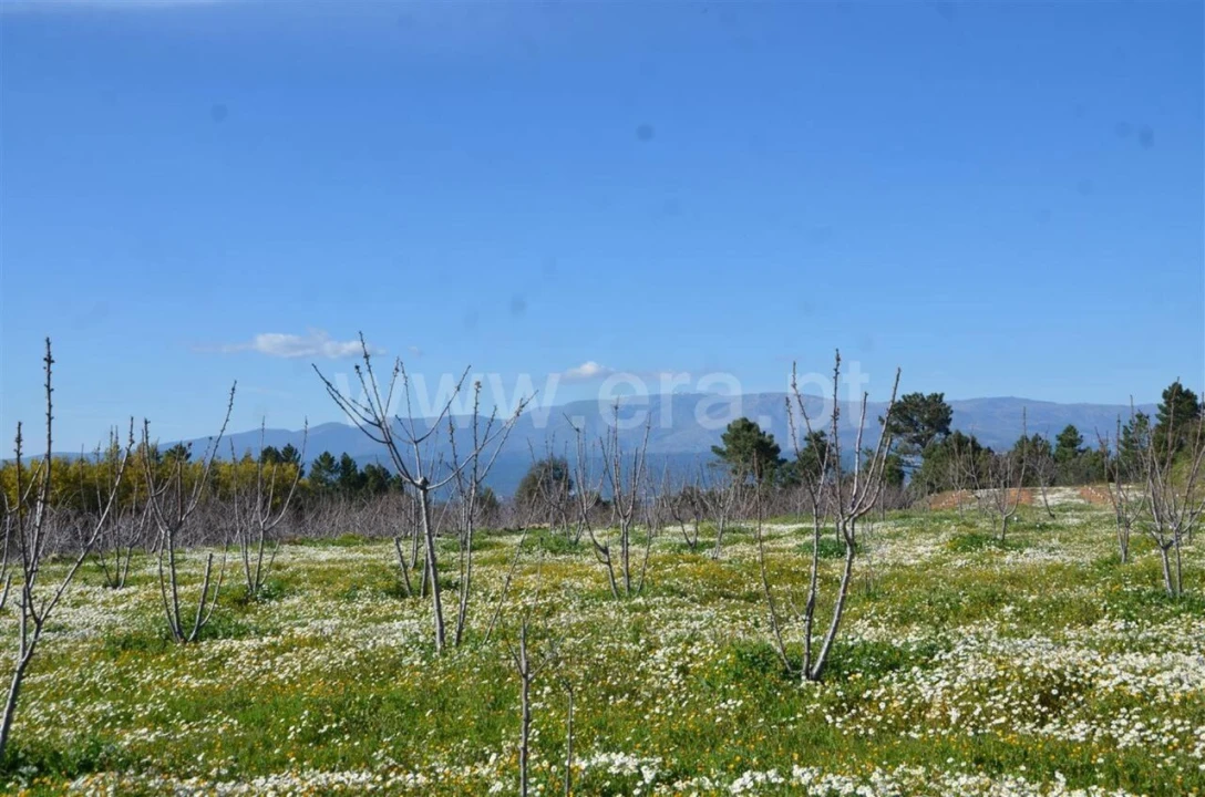 Quinta T0 para Venda em Fundão, Valverde, Donas, A. Joanes, A. Nova Cabo Foto 18