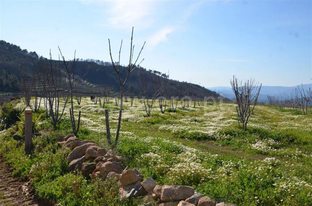Quinta T0 para Venda em Fundão, Valverde, Donas, A. Joanes, A. Nova Cabo Foto 15