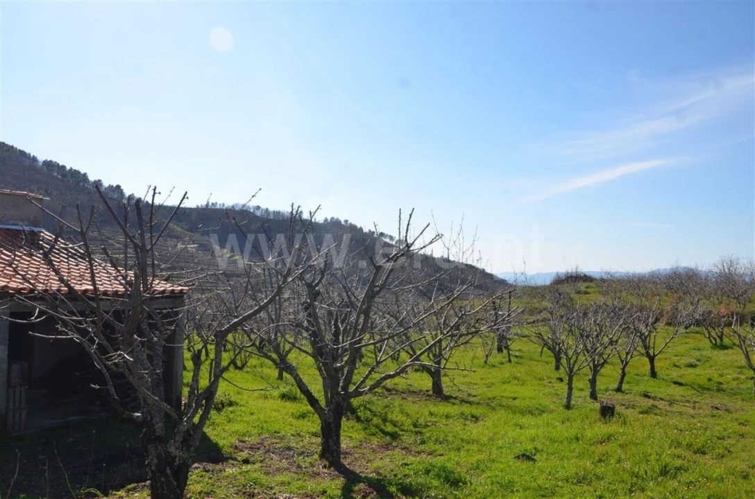 Quinta T0 para Venda em Fundão, Valverde, Donas, A. Joanes, A. Nova Cabo Foto 10