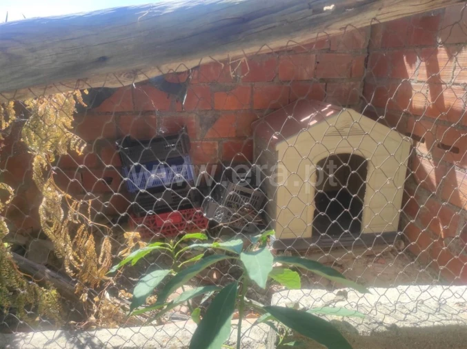 Moradia T3 para Venda em Vale de Prazeres e Mata da Rainha Foto 14