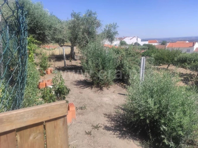Moradia T3 para Venda em Vale de Prazeres e Mata da Rainha Foto 12