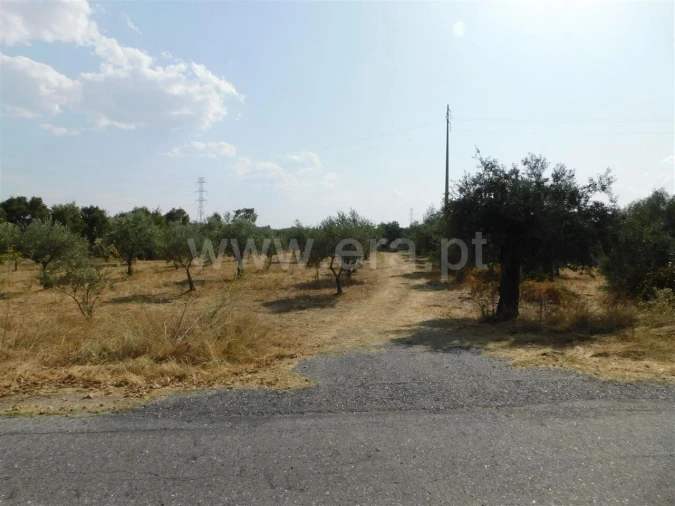 Quinta T0 para Venda em Póvoa de Atalaia e Atalaia do Campo Foto 8