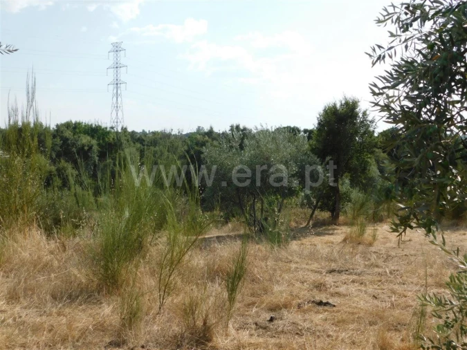 Quinta T0 para Venda em Póvoa de Atalaia e Atalaia do Campo Foto 6