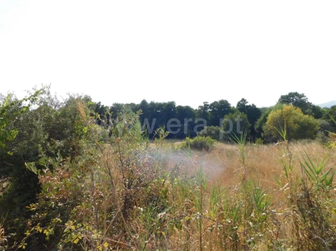 Quinta T0 para Venda em Póvoa de Atalaia e Atalaia do Campo Foto 3