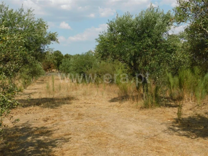 Quinta T0 para Venda em Póvoa de Atalaia e Atalaia do Campo Foto 7