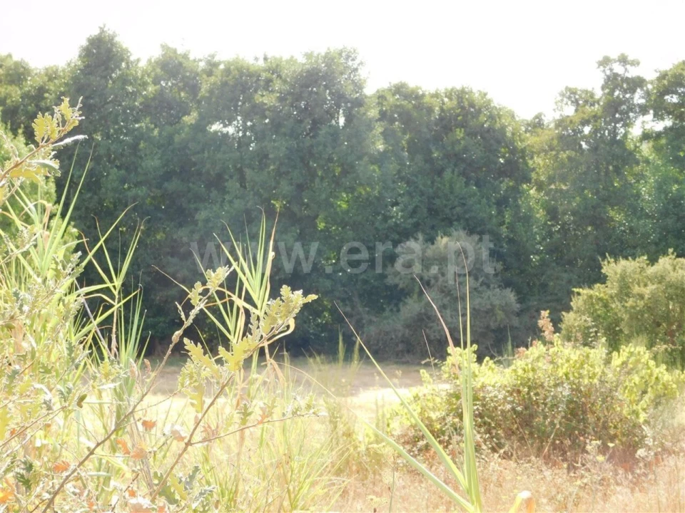 Quinta T0 para Venda em Póvoa de Atalaia e Atalaia do Campo Foto 4