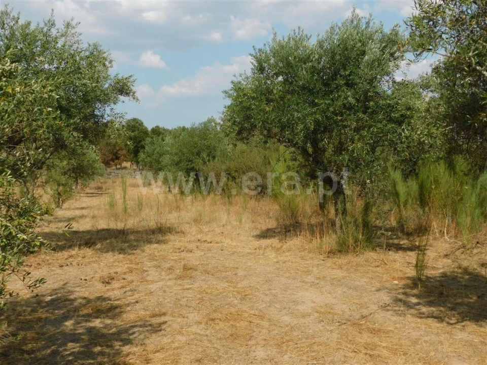 Quinta T0 para Venda em Póvoa de Atalaia e Atalaia do Campo Foto 7